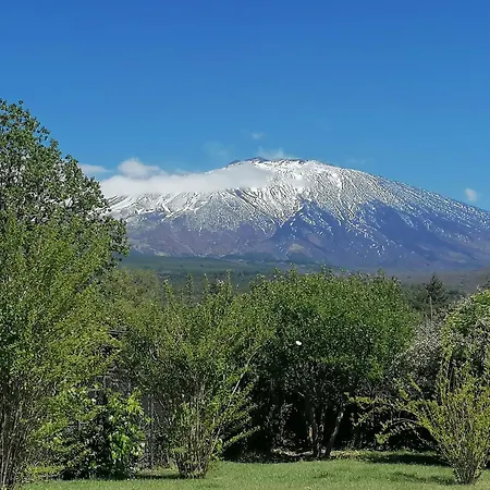Holiday home Nero Etna *