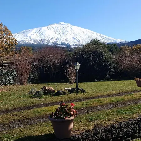 Nero Etna * Bronte